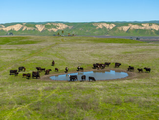 Shandon, CA Agricultural - 2500 E Highway 41