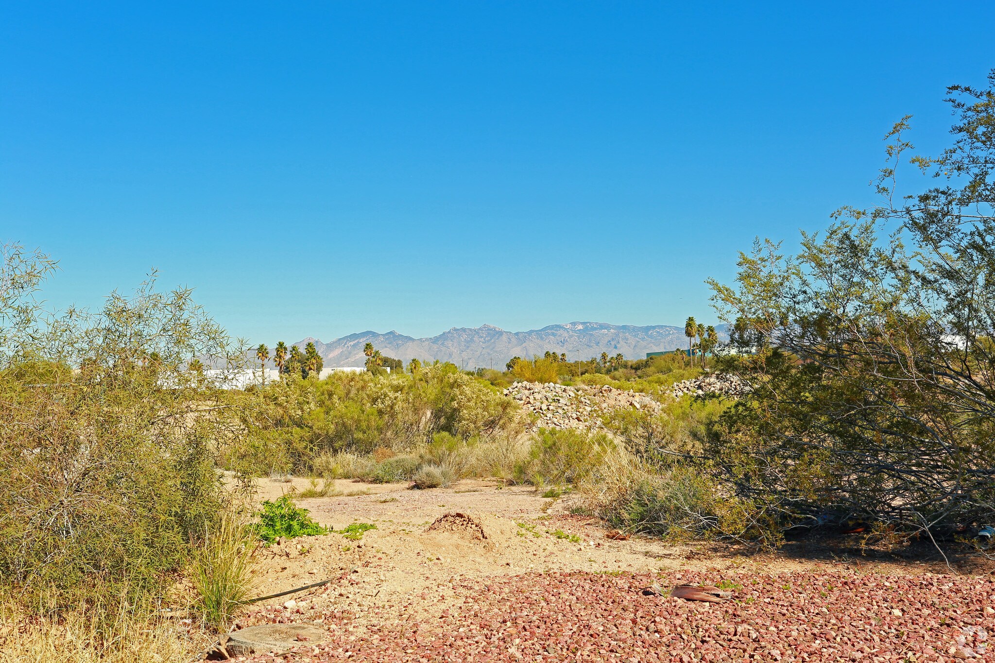 6300 S Palo Verde Rd, Tucson, AZ for Sale