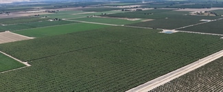 Strathmore, CA Agricultural Land - Avenue 192