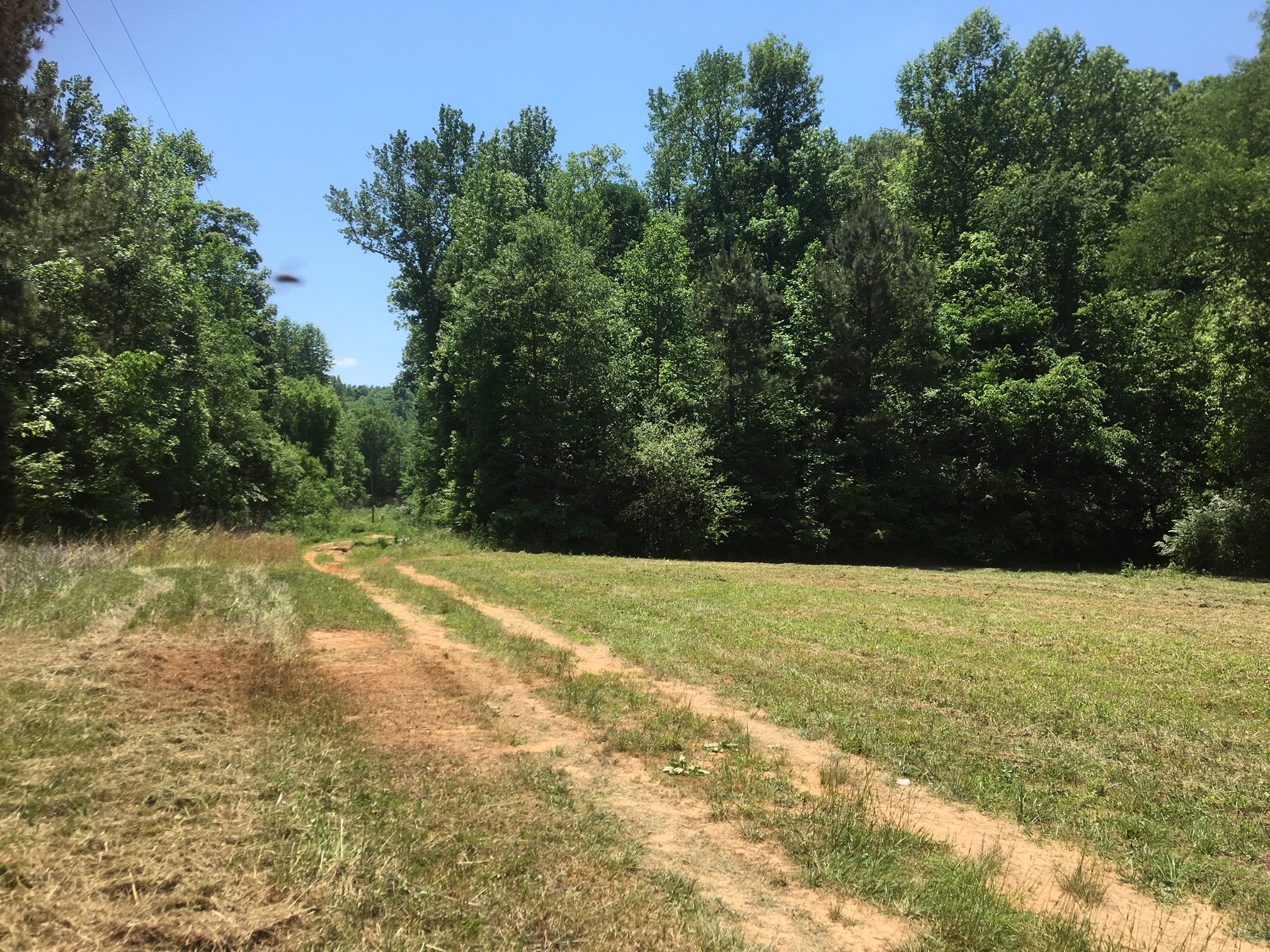 County Road 84, Danville, AL for Sale