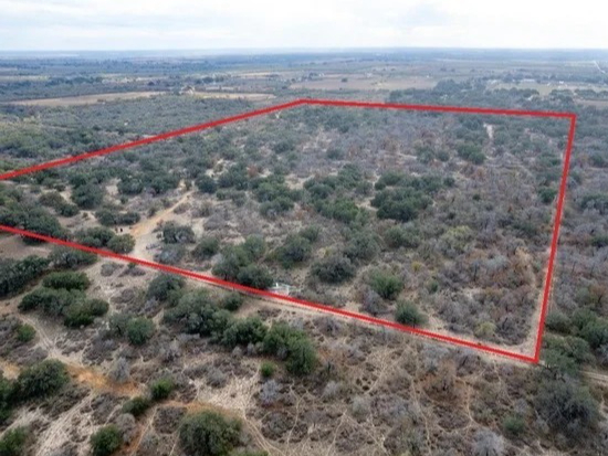 595 Sir David Ln, Poteet, TX for Sale