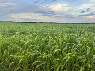 Homestead, FL Agricultural - SW 328 STREET & SW 207 AVENUE