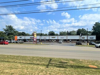 Commerce Township, MI Retail - 3141-3191 Union Lake Rd