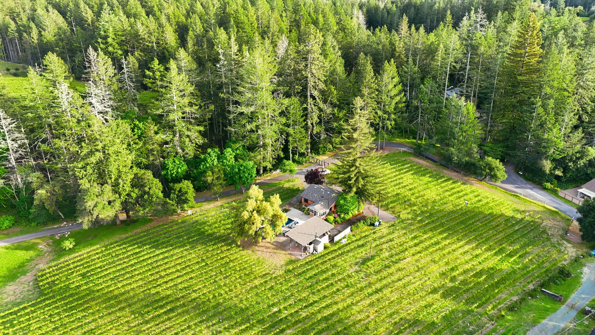 425 Cold Springs Rd, Angwin, CA for Sale