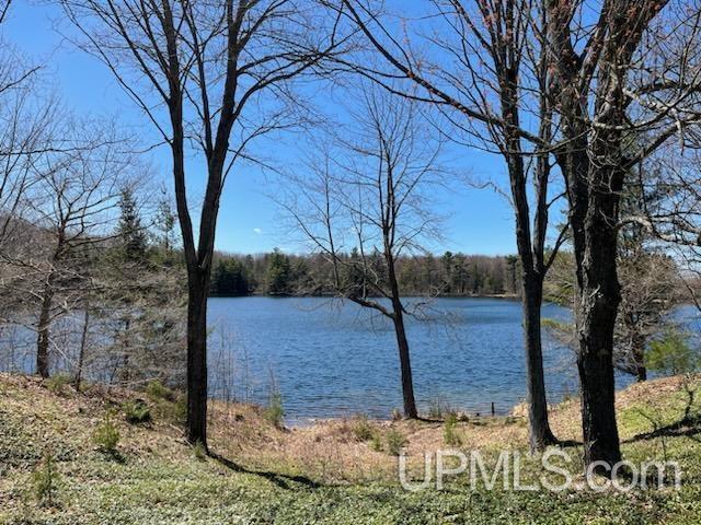 TBD Ackerman Lake Road, Munising, MI for Sale