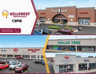 Crest Hill, IL undefined - 1701-1799 N Larkin Ave