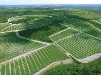 Myakka City, FL Agricultural Land - 40105 Ballard Rd