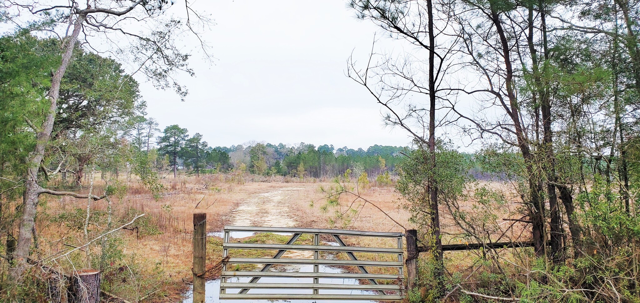 Highway 3226 @ Cypress Church Road, Deridder, LA for Sale