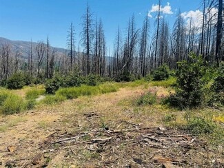 Greenville, CA Residential - 172 Standart Mine Road Rd