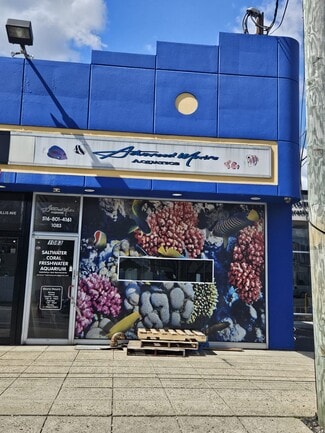 Albertson, NY Office/Retail - 1079-1083 Willis Ave