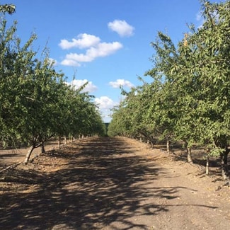 Oakdale, CA Agricultural - 6000 Tim Bell Rd