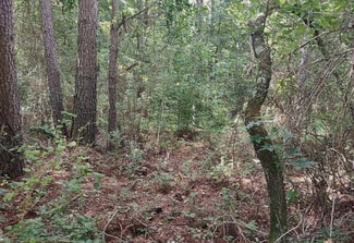 The Rock, GA Agricultural - Barnesville Highway