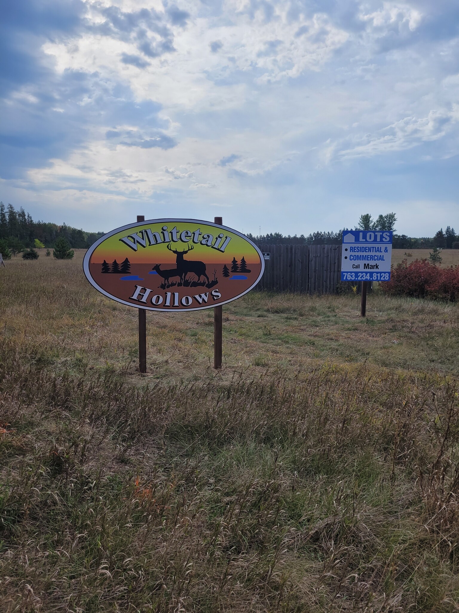 Old Highway 371, Jenkins, MN for Sale