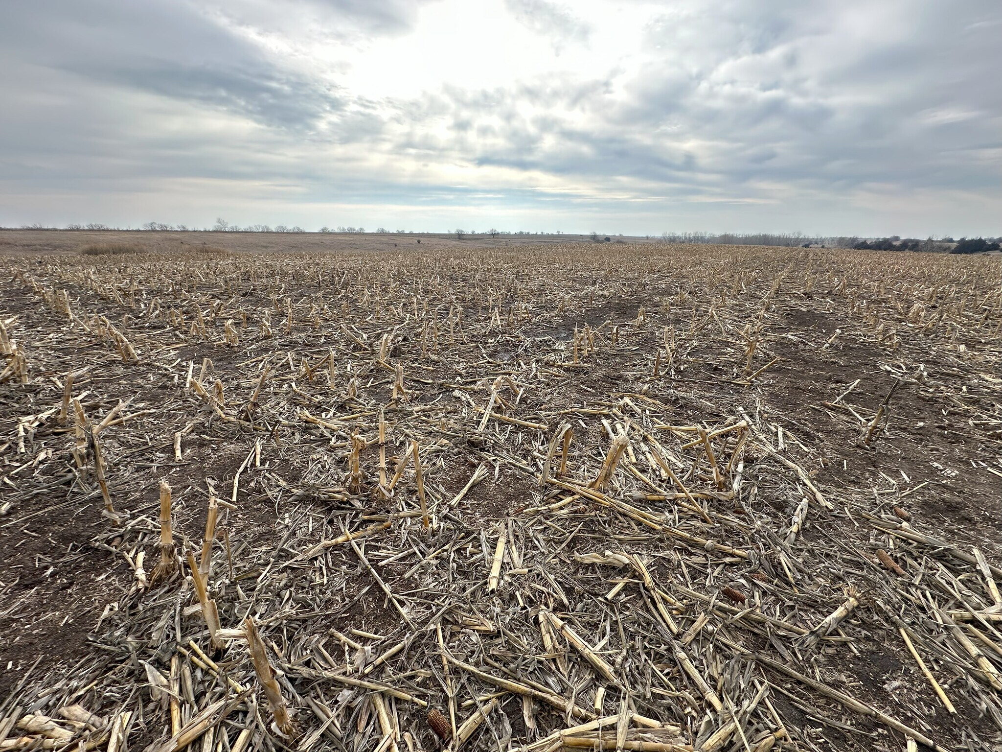 0 Ash Road @ 75th Road, Burr Oak, KS for Sale