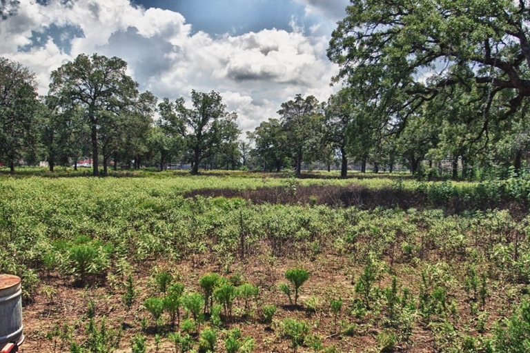 799 Highway 71 W, Bastrop, TX for Sale