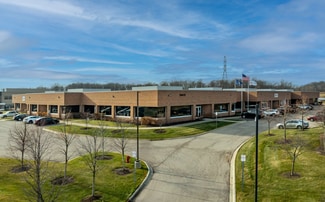 Novi, MI Flex - 39675 MacKenzie Dr