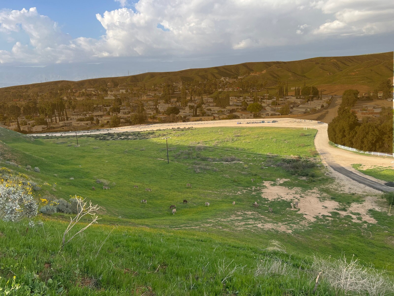 Reche Canyon Road, Colton, CA for Sale