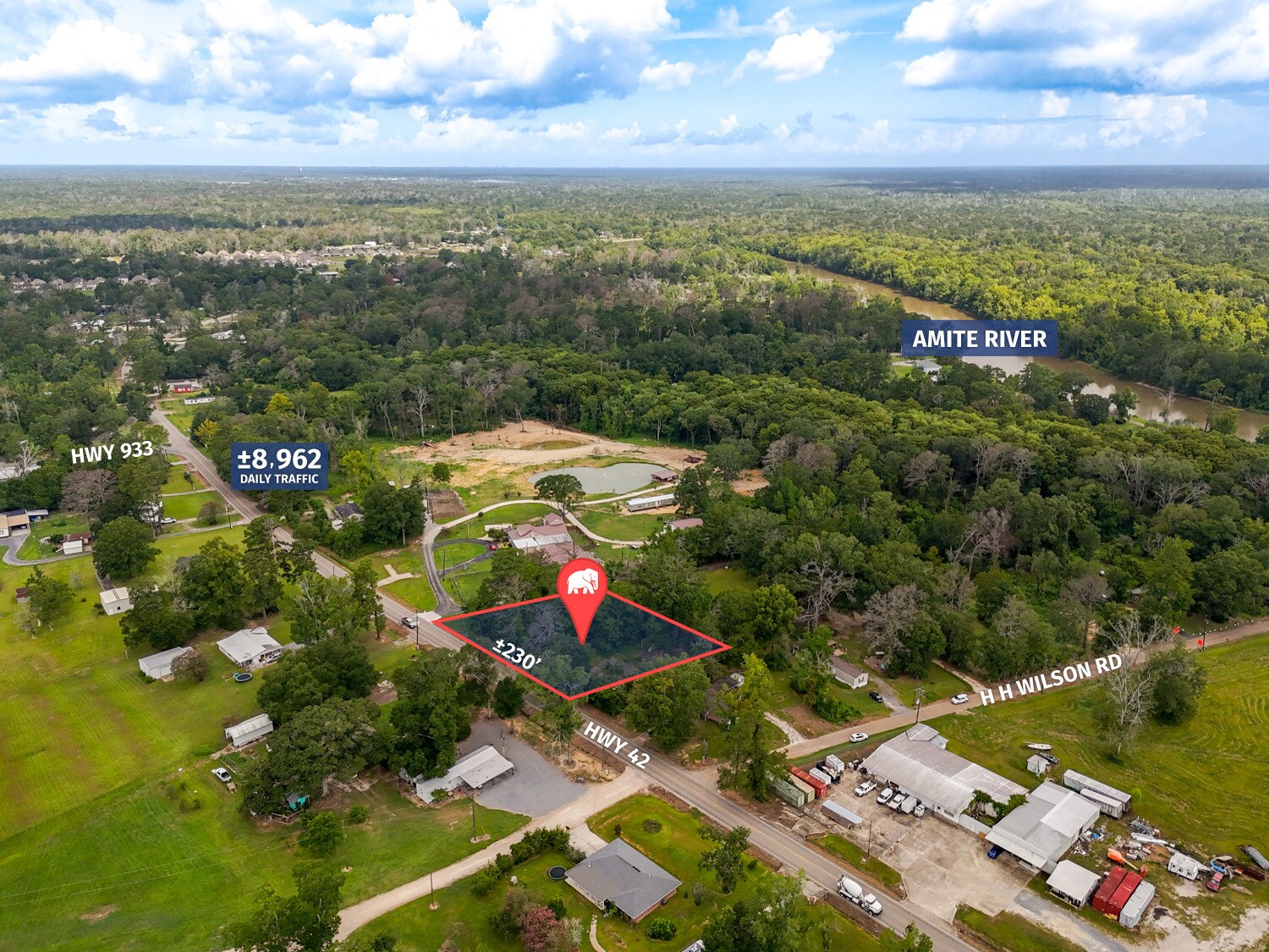 44098 HWY 42, Prairieville, LA for Sale