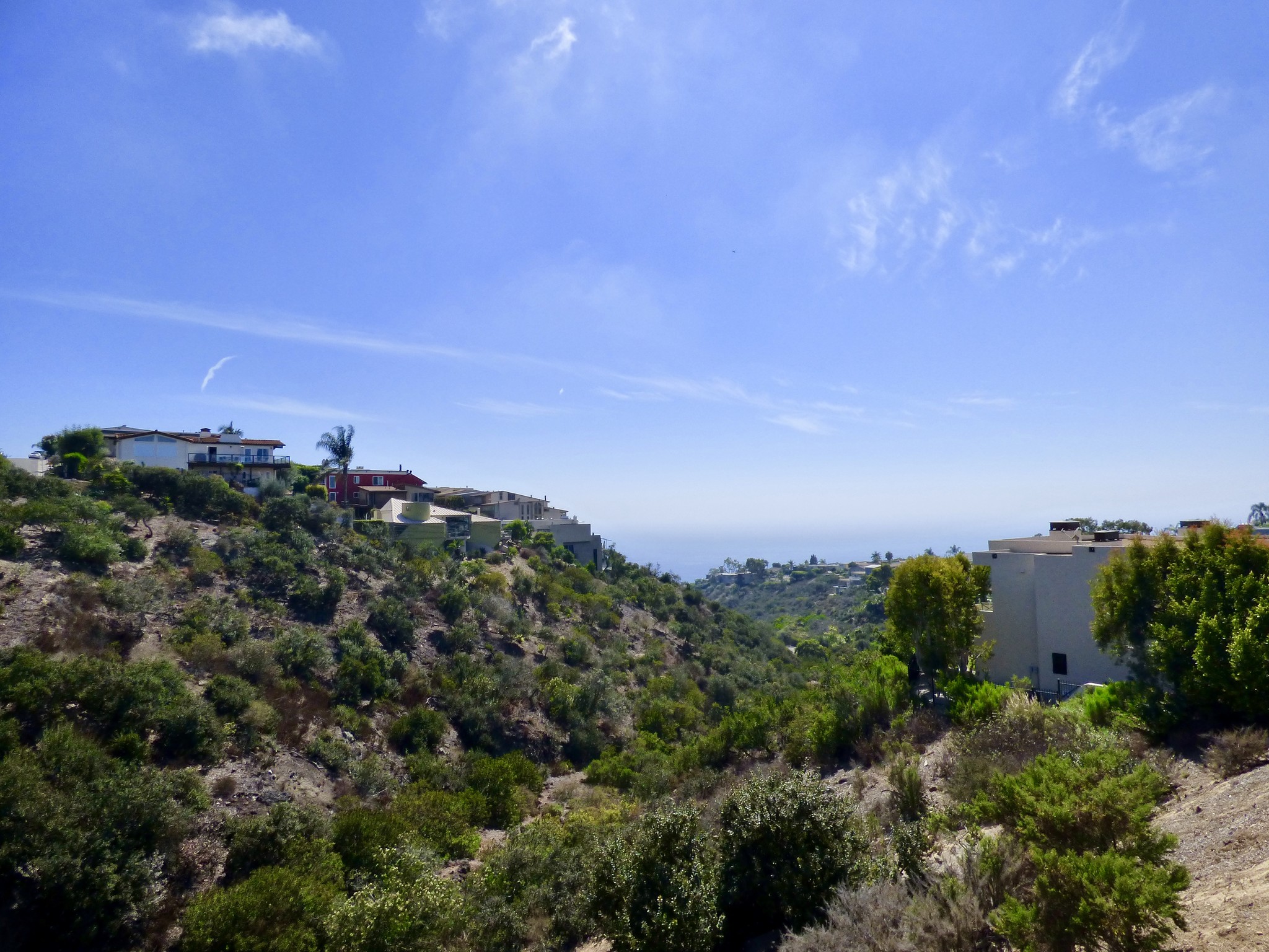 1010 Palo Alto St, Laguna Beach, CA for Sale