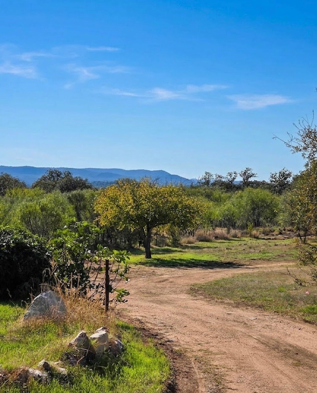 925 Old Spanish Trl, Buchanan Dam, TX for Sale