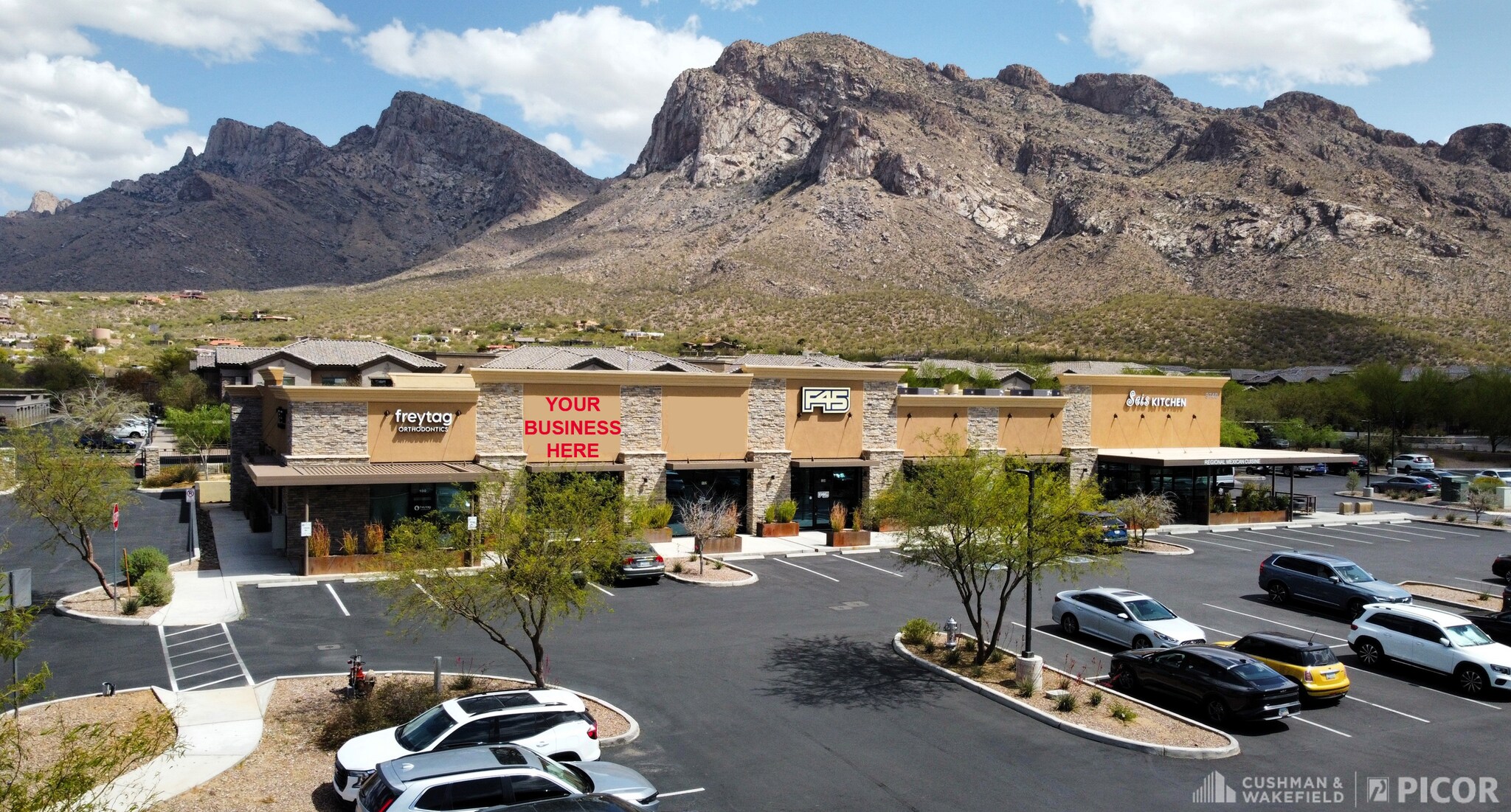 9740 N Oracle Rd, Oro Valley, AZ for Rent