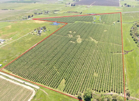 0 Twin Cities rd, Herald, CA for Sale