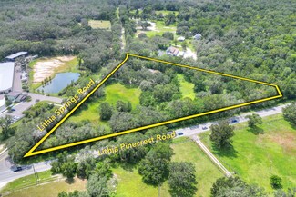 Lithia, FL Commercial Land - 5226 Lithia Springs Road