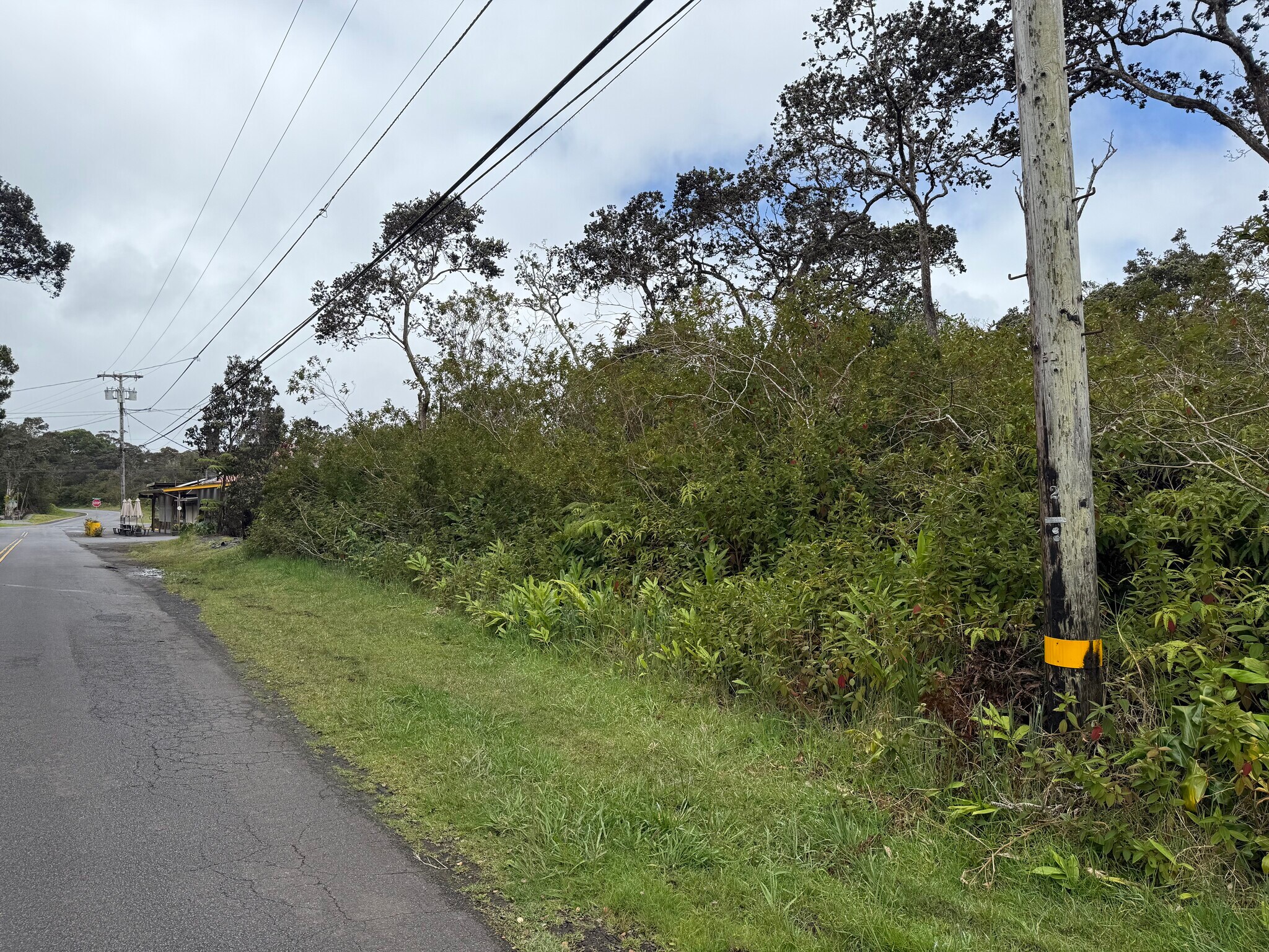 19-4021 Haunani Rd, Volcano, HI for Sale