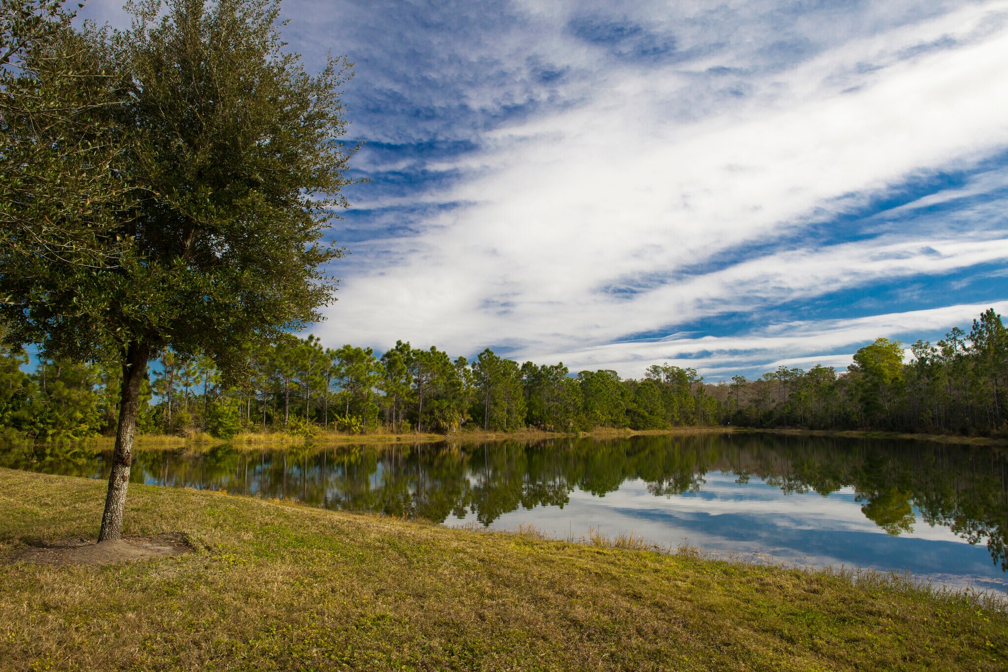 10501 Six Mile Cypress Pky, Fort Myers, FL for Rent
