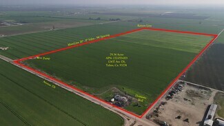 Tulare, CA Agricultural Land - 12437 Avenue 176