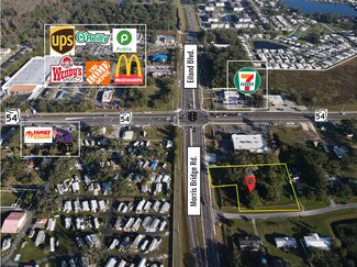 Wesley Chapel, FL Commercial Land - 4142 Morris Bridge Rd