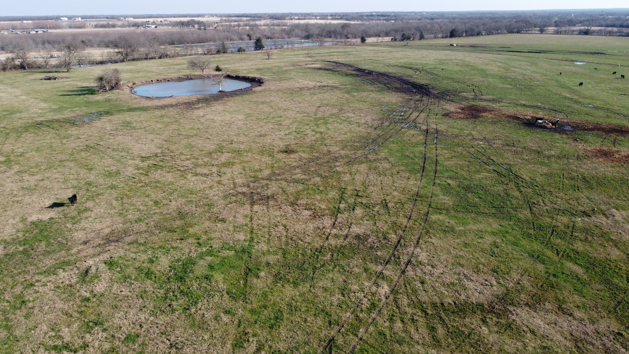 67 ac Deer Ln, Celeste, TX for Sale