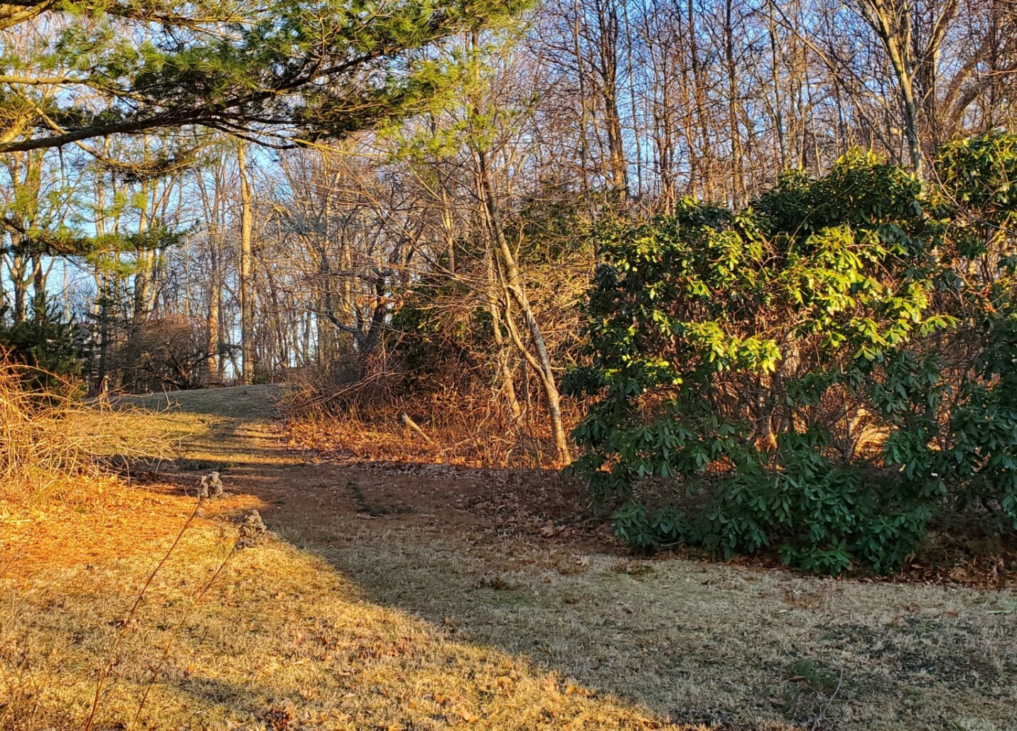 99999 Pennsylvania Ave, Niantic, CT for Sale