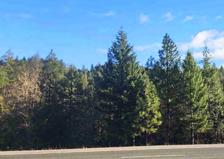 15583 Redwood Hwy, Selma, OR for Sale