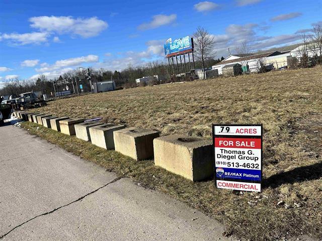 8709 Main St, Whitmore Lake, MI for Sale