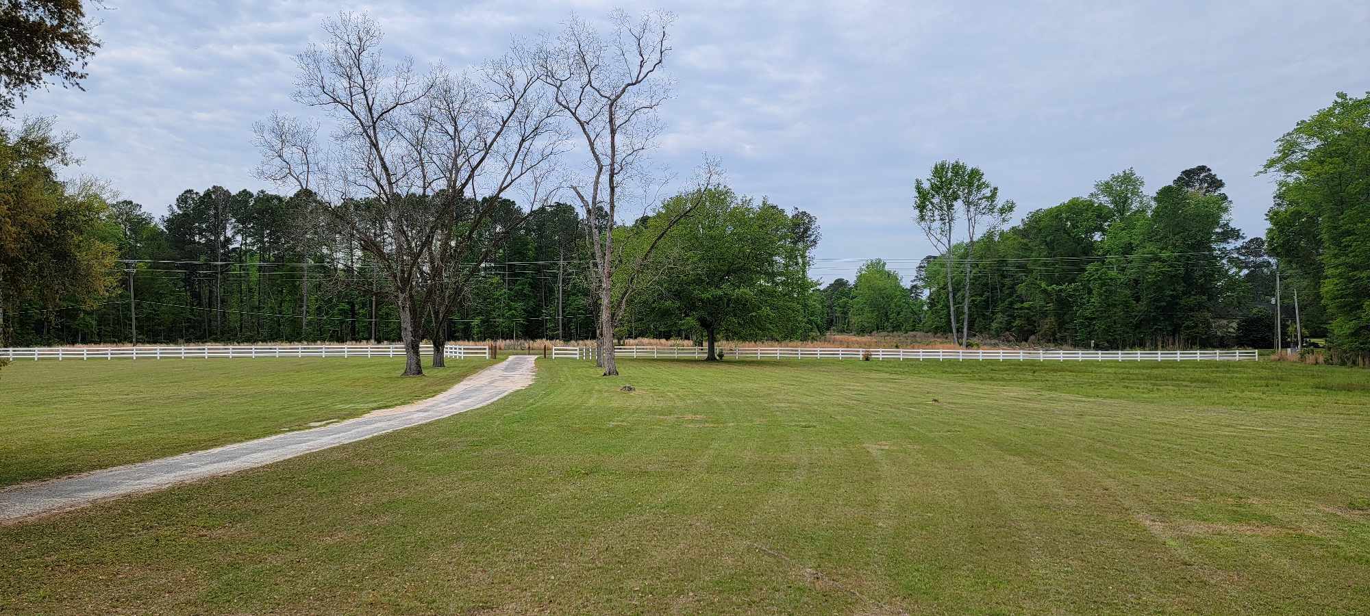 6380 Char Augusta Rd, Bamberg, SC for Sale