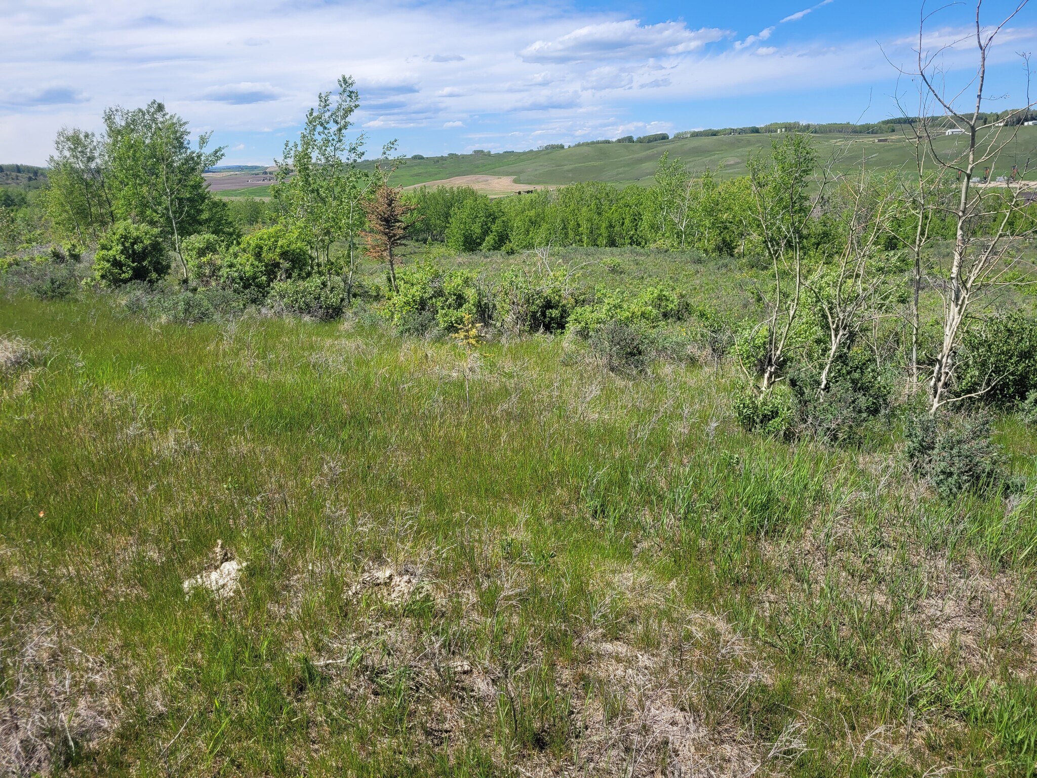 Lochend Rd, Rocky View No 44, AB for Sale