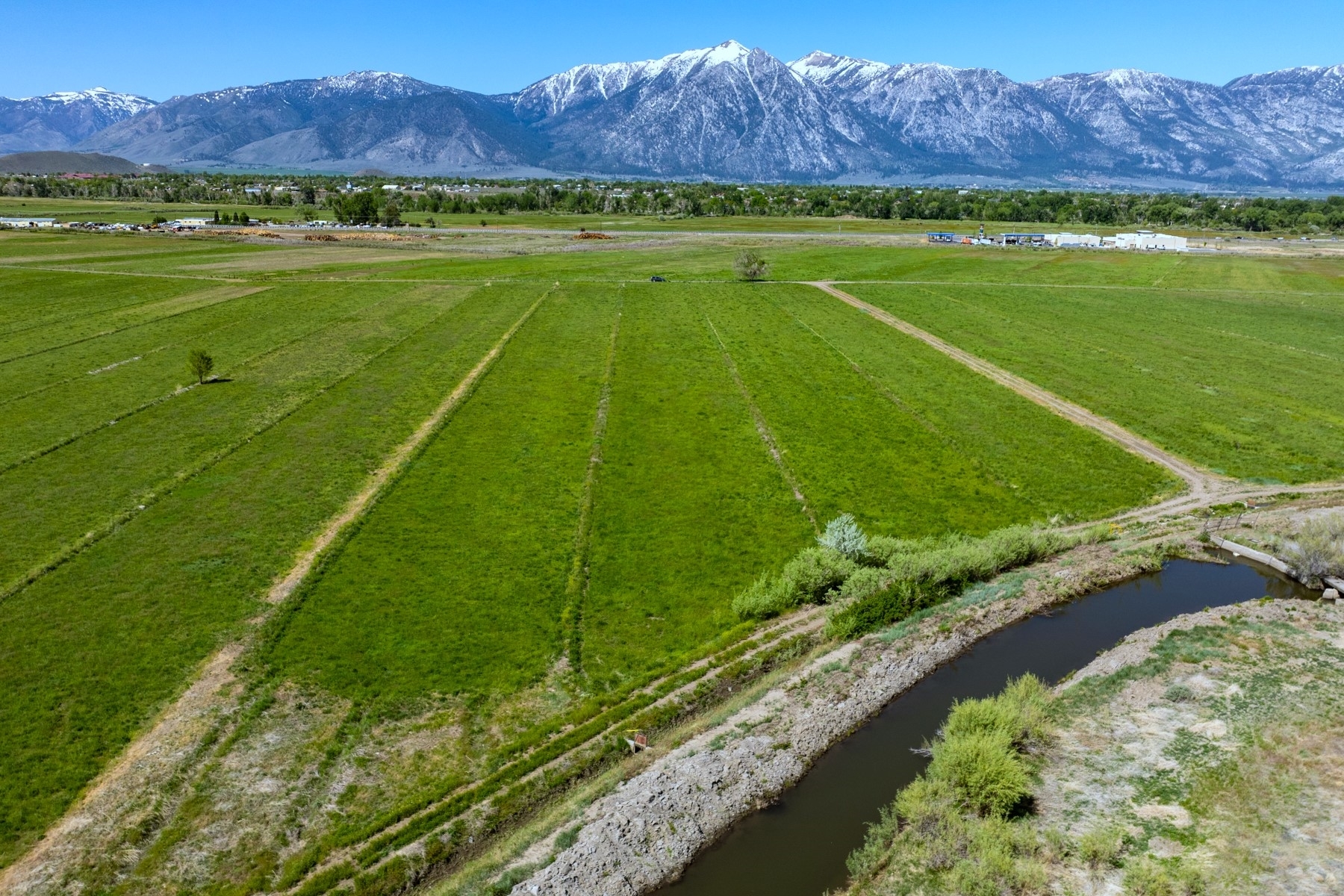 000 Pinenut rd, Gardnerville, NV for Sale