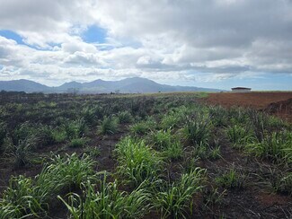 Wahiawa, HI Agricultural - 64-1320 Kamehameha hwy