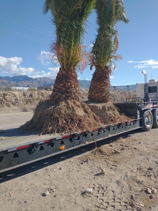 Littlefield, AZ Commercial - 2941 S Franhi Rd