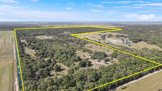 Okeechobee, FL Agricultural Land - 26714 martin highway