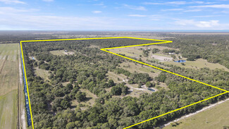Okeechobee, FL Agricultural - 26714 martin highway