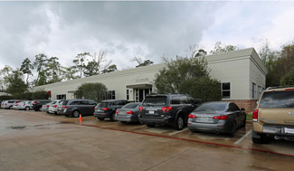 The Woodlands, TX Office/Medical - 6769 Lake Woodlands Dr