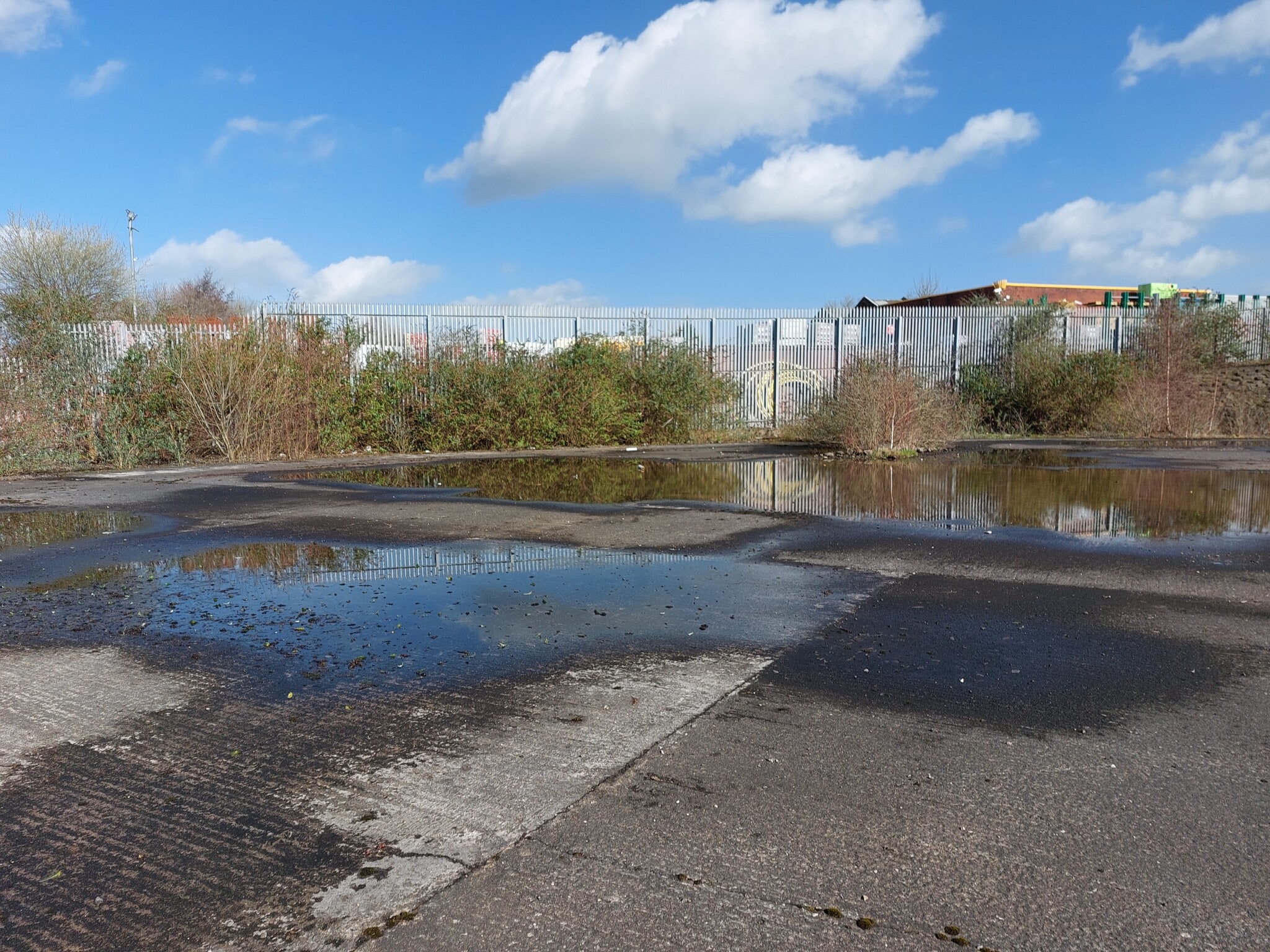 Jackson St, St Helens, MSY for Sale