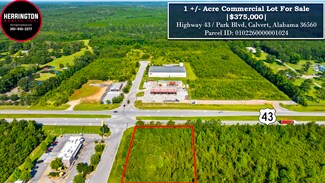 Mount Vernon, AL Commercial Land - 20950 U.S. 43 Mount Vernon, AL Commercial Land - 20950 U.S. 43