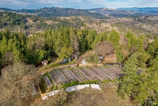 Ukiah, CA Commercial - 8450 Orr Springs Rd