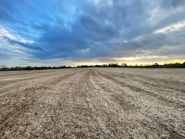 00 Hwy & Anderson Ave, Brownsville, TN for Sale