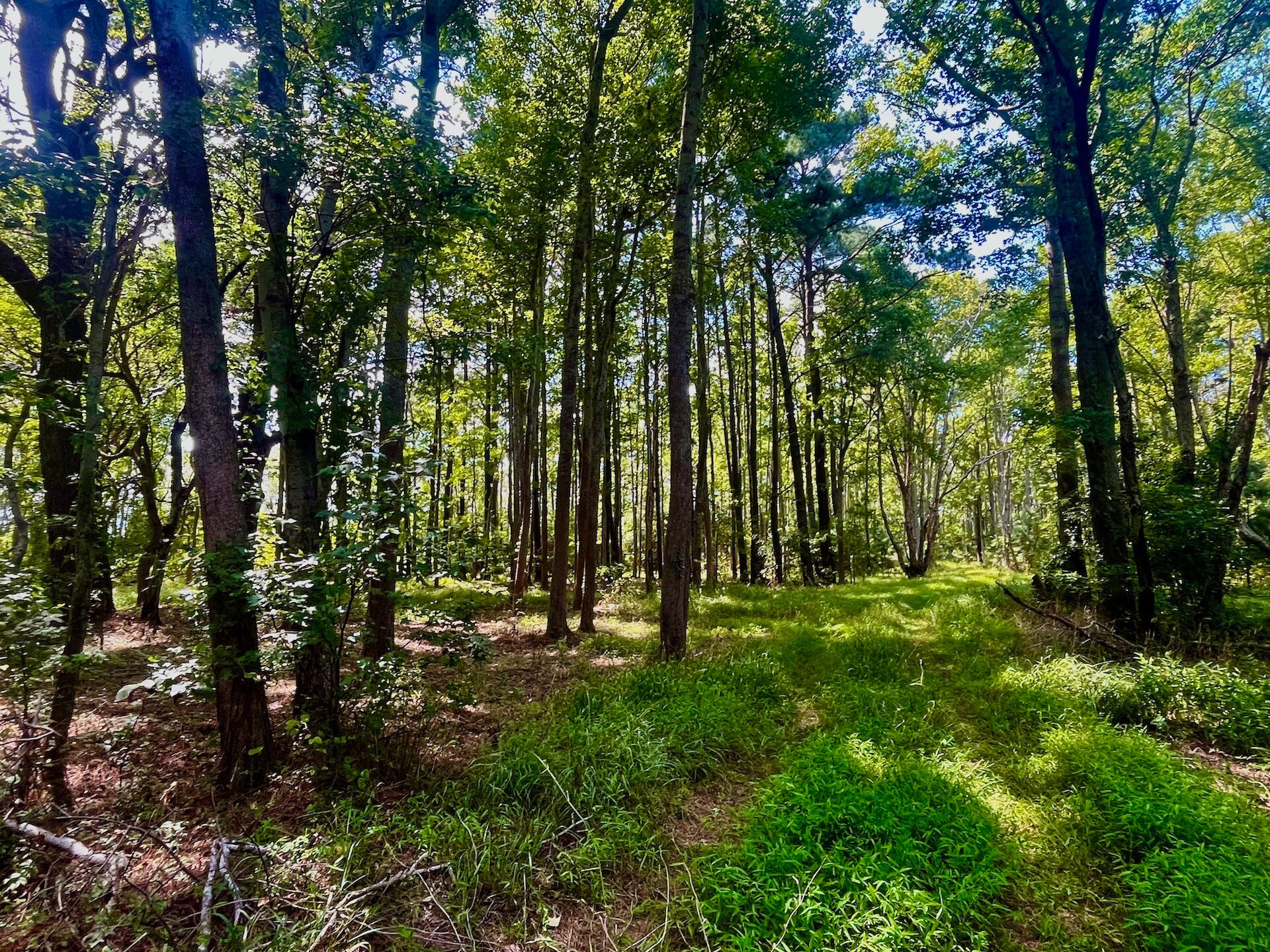 0 Side Lane, Powells Point, NC for Sale