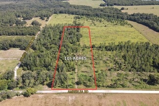 Dade City, FL Agricultural - Amberlea Rd