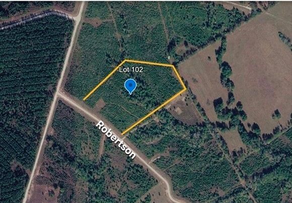 Tract 102 Robertson rd, Lovelady, TX for Sale